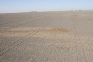 Drought Impacts